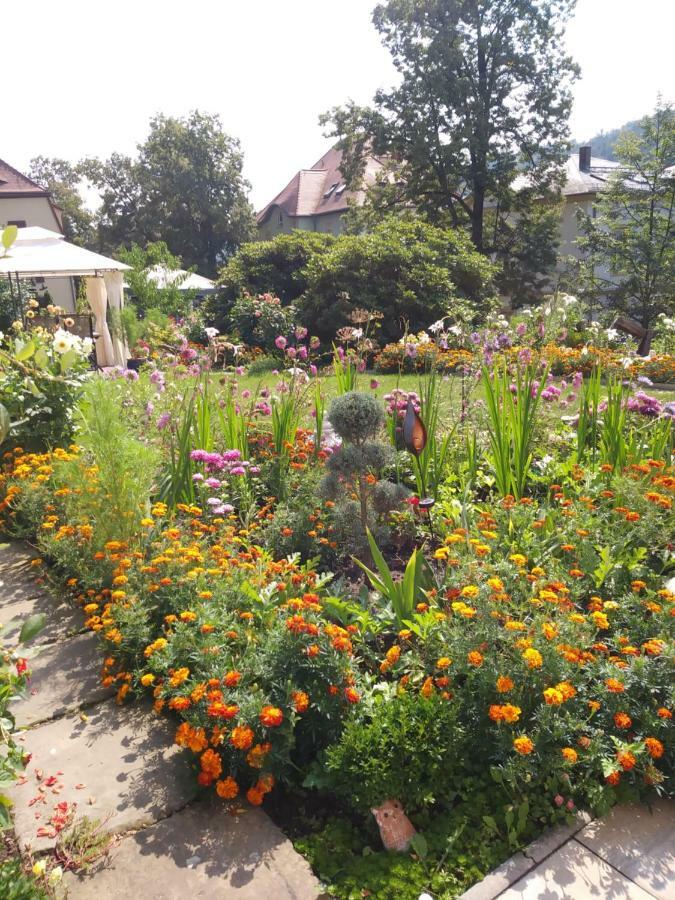 Ferienwohnungen Wilhelm Bad Schandau Dış mekan fotoğraf